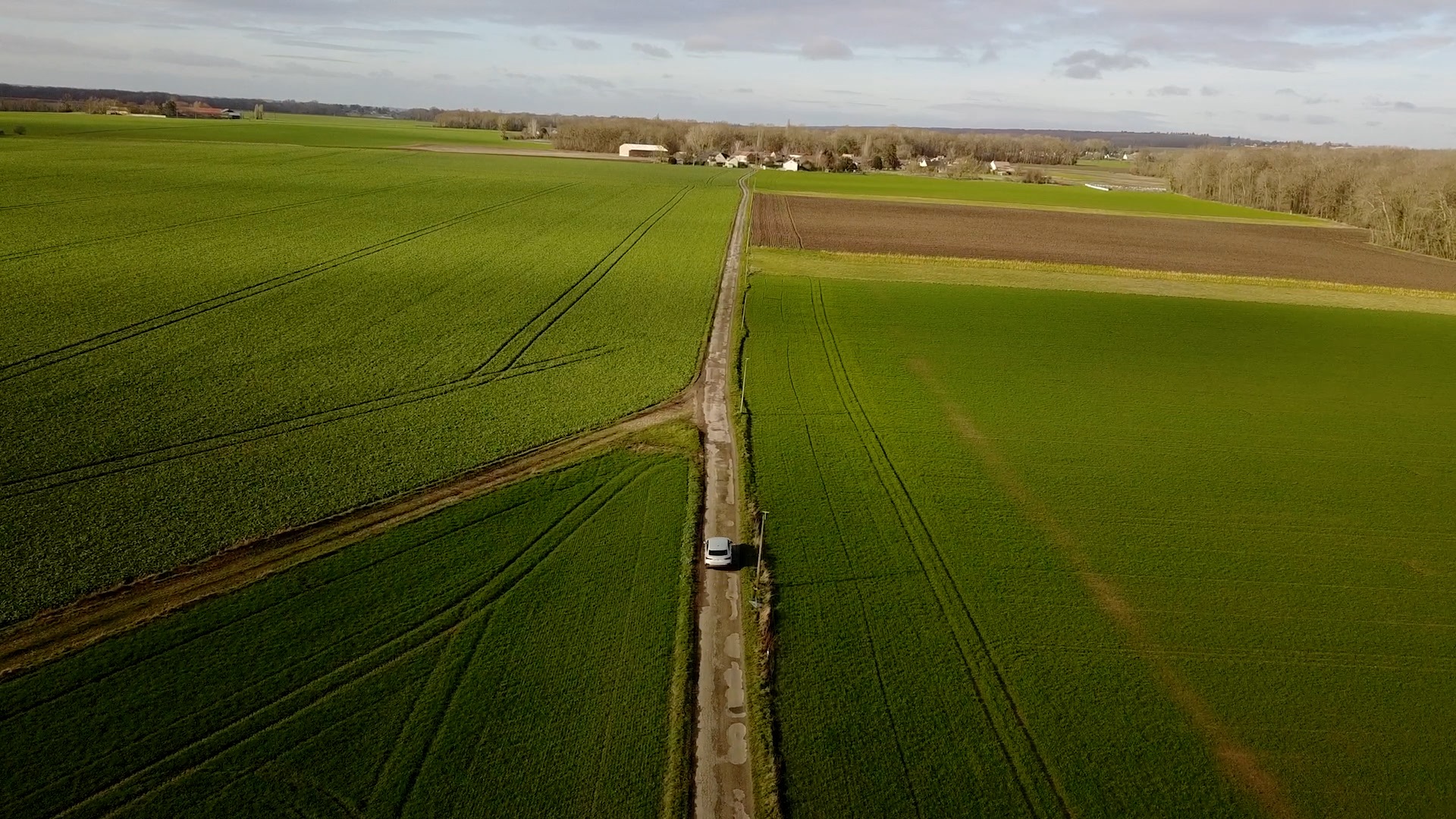 Une image contenant herbe, plein air, terrain, ciel

Description générée automatiquement